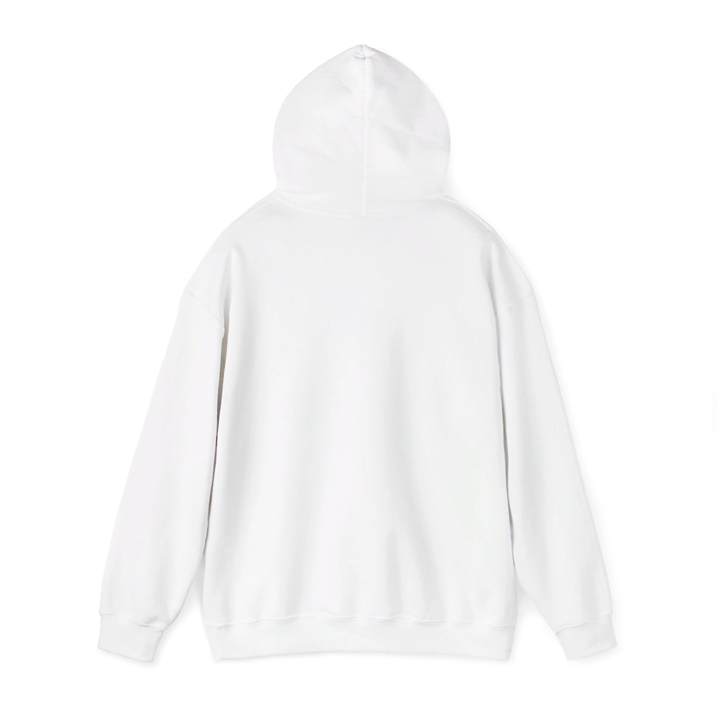 College Hooded Sweatshirt