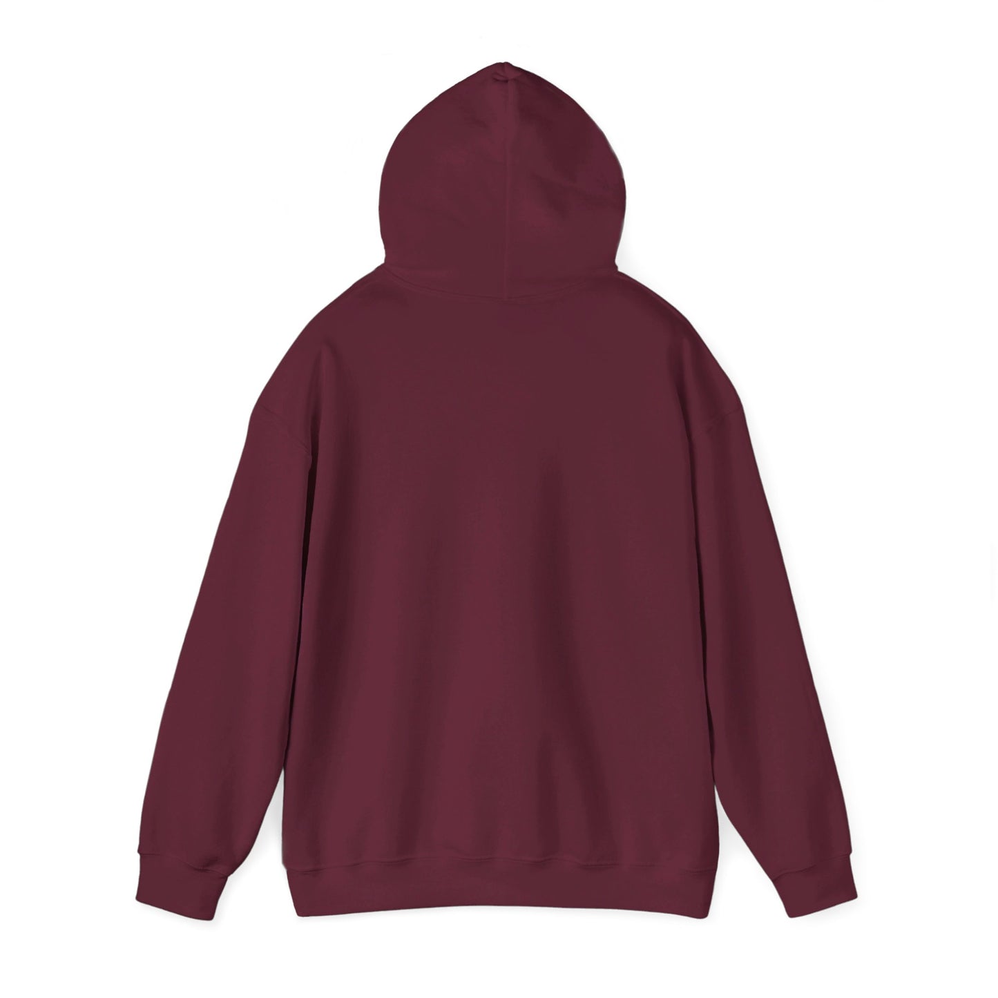 College Hooded Sweatshirt