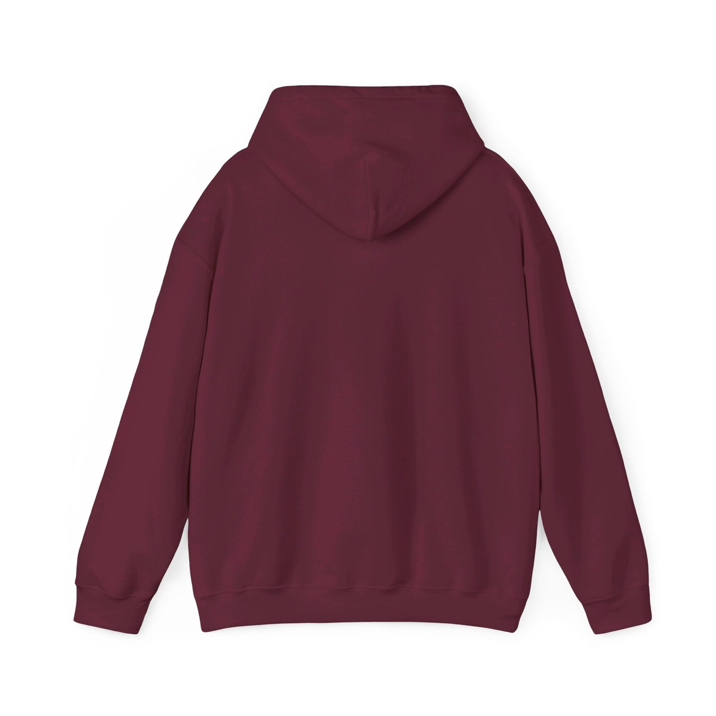 College Hooded Sweatshirt