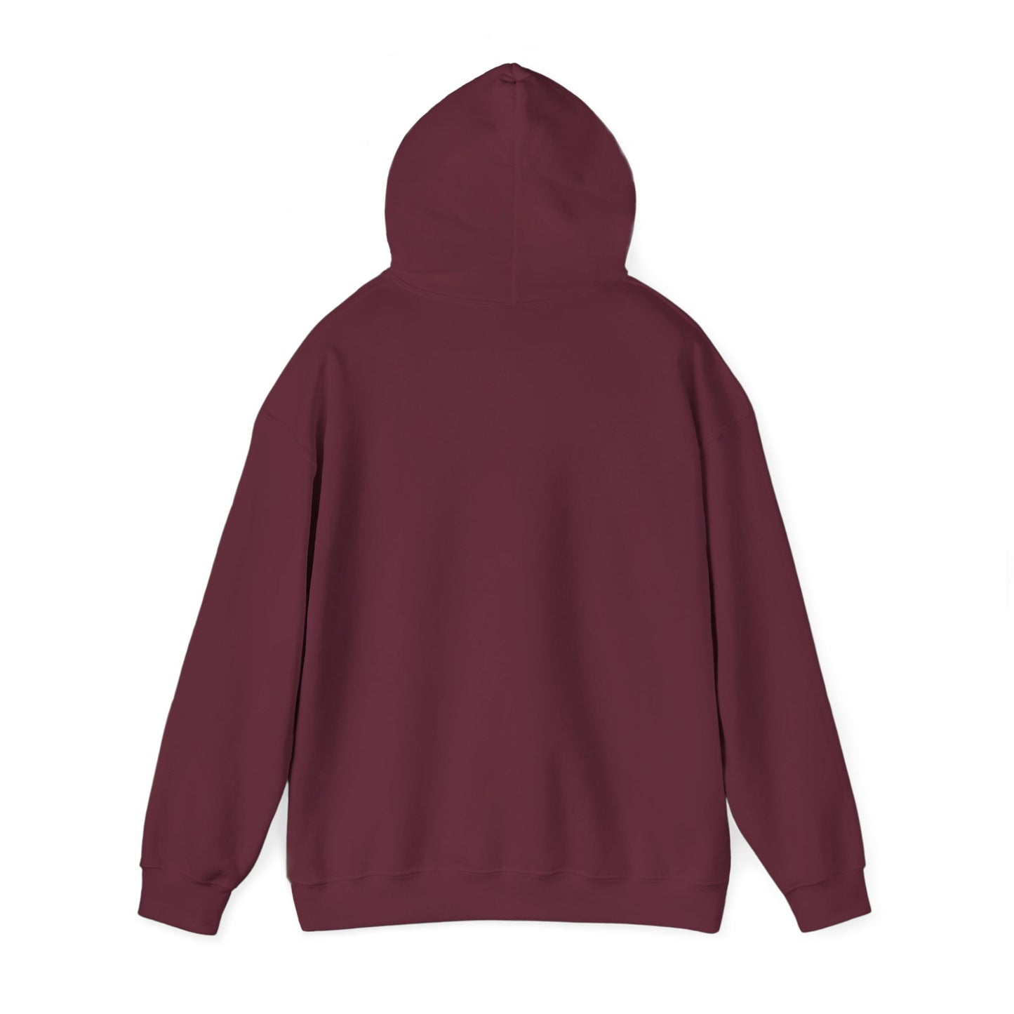 College Hooded Sweatshirt