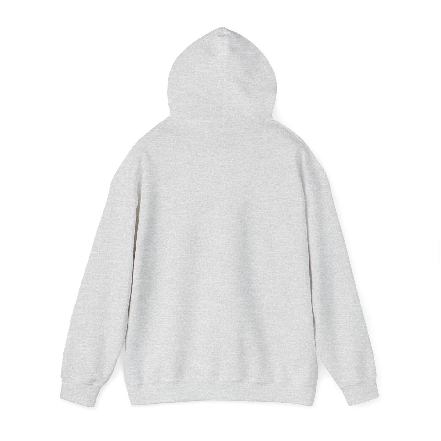 College Hooded Sweatshirt