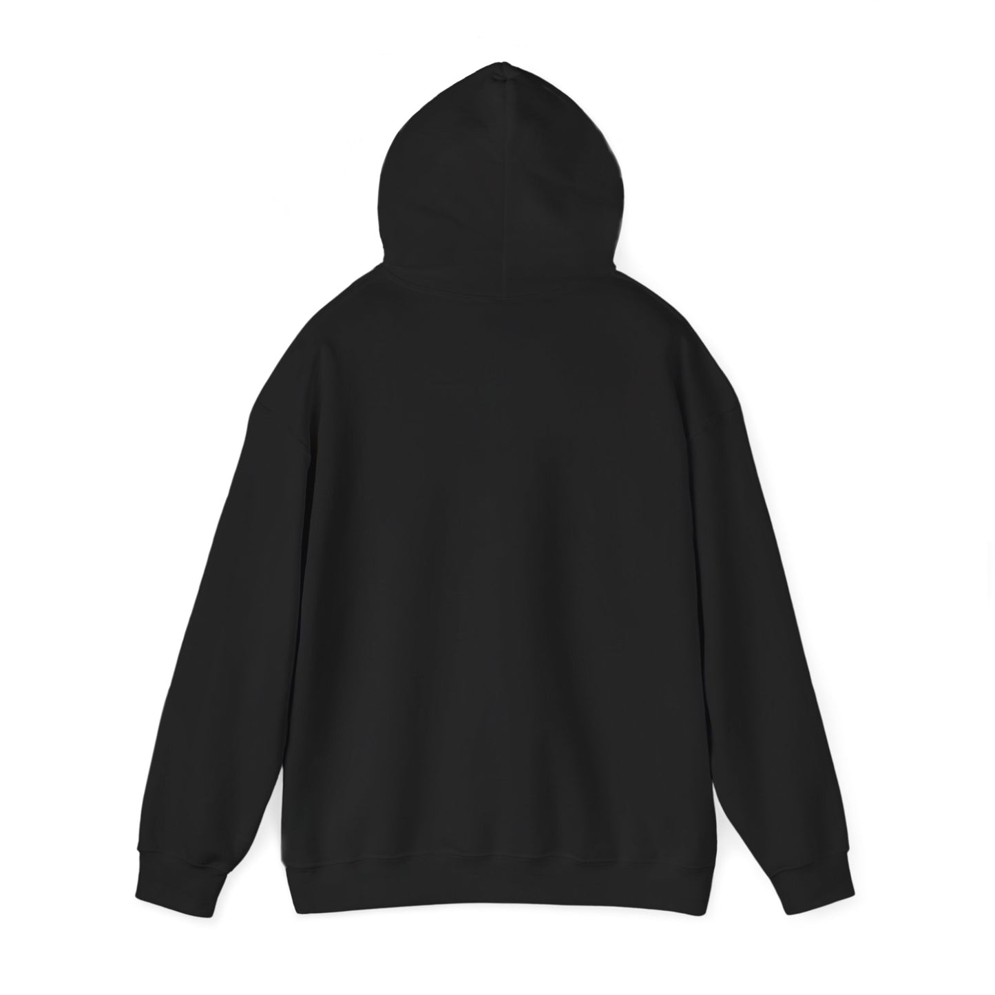College Hooded Sweatshirt