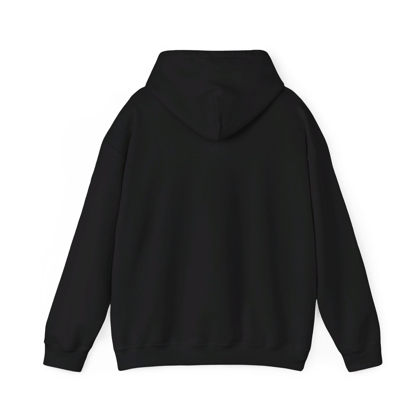 College Hooded Sweatshirt