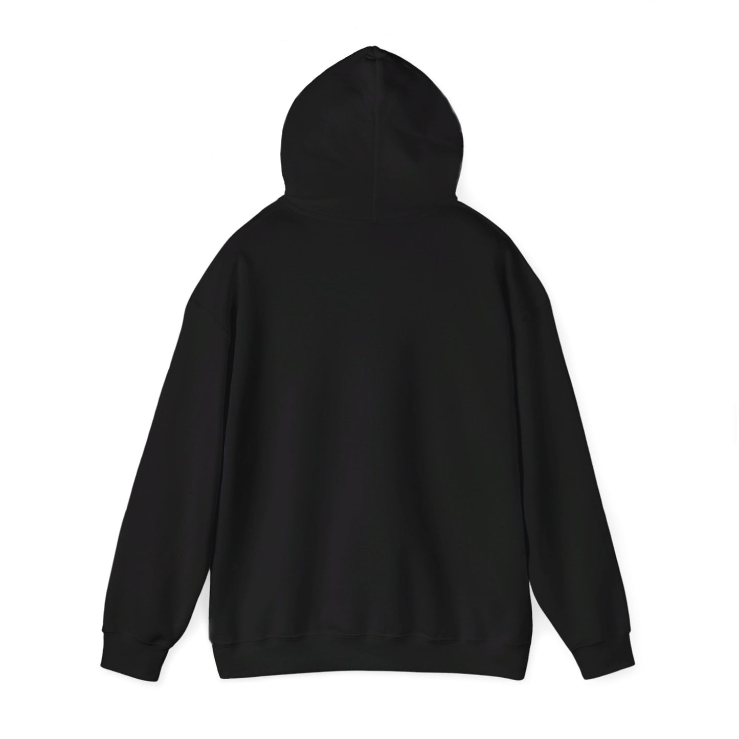 College Hooded Sweatshirt