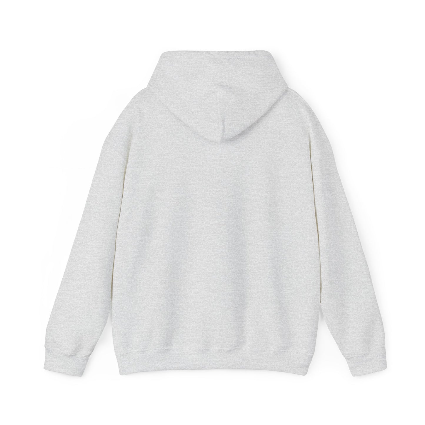 College Hooded Sweatshirt